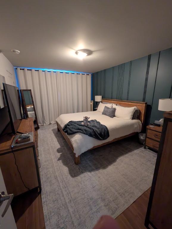 PLUSIEURS 4 1/2 À LOUER - CHÂTEAUGUAY | 3233550