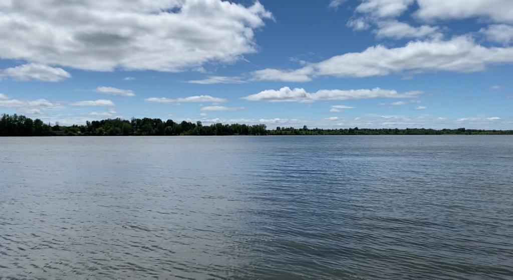 Rareté! Deux terrains adjacents Papineauville avec accès rivière! | 3233652