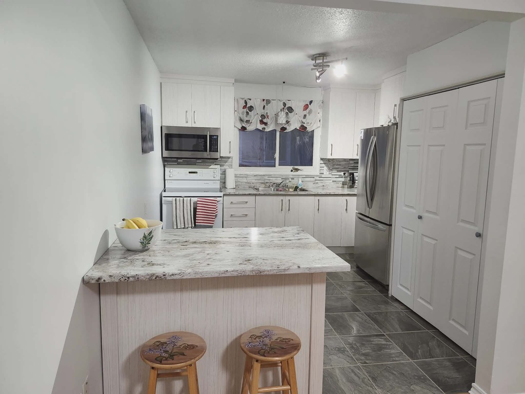 Beau Grand 2 Ch Secteur Tranquille | 3233920