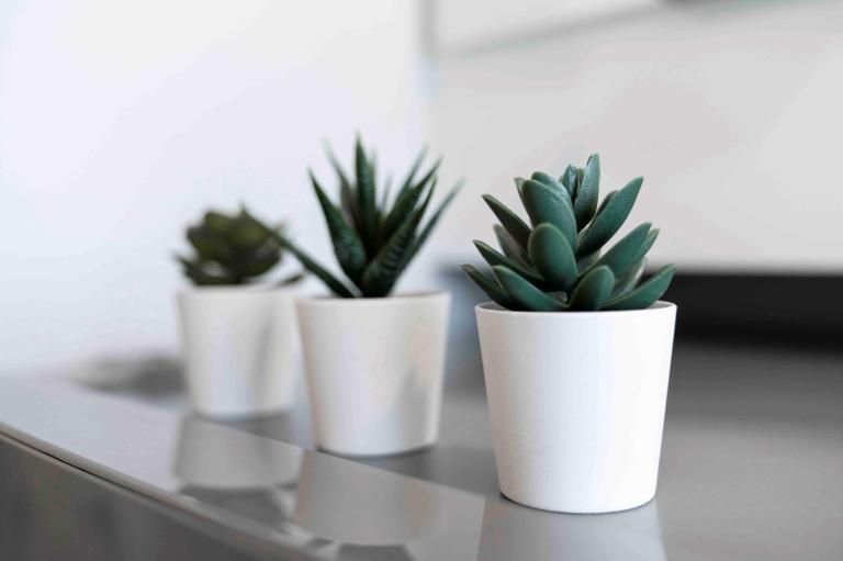 Studio rénové - Métro Crémazie | 3233958