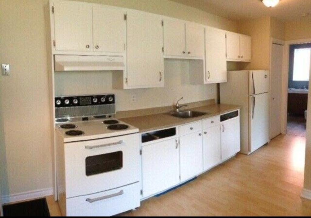 Logement loft centre-ville Victoriaville | 3233960