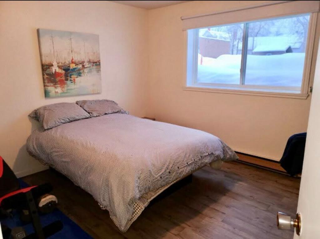 Logement loft centre-ville Victoriaville | 3233960