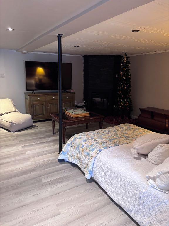 3 1/2 à louer | 3233995