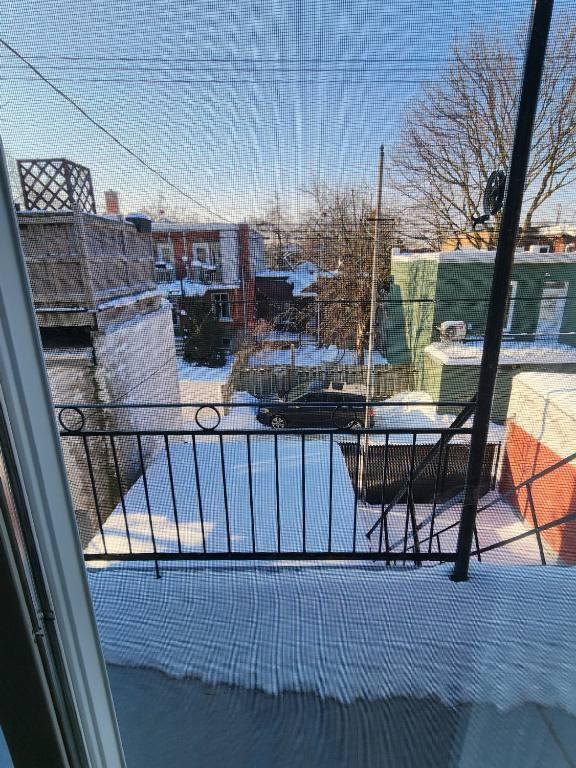 3 1/2 Petite-Patrie - rénové et lumineux - 5 électros inclus / 1 br freshly renovated and sunny 3 1/2 in Petite-Patrie, 5 appliances included | 3234037