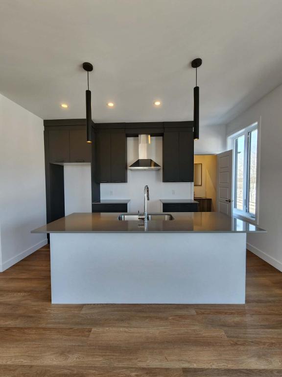 5 1/2 rue Bertrand-Fabi TOUT INCLUS | 3234048