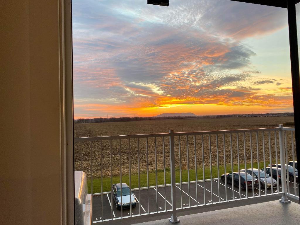 Superbe 5 1/2 adossé à un champ 5 mins des services St-Hyacinthe - appartement / logement à louer | 3234049