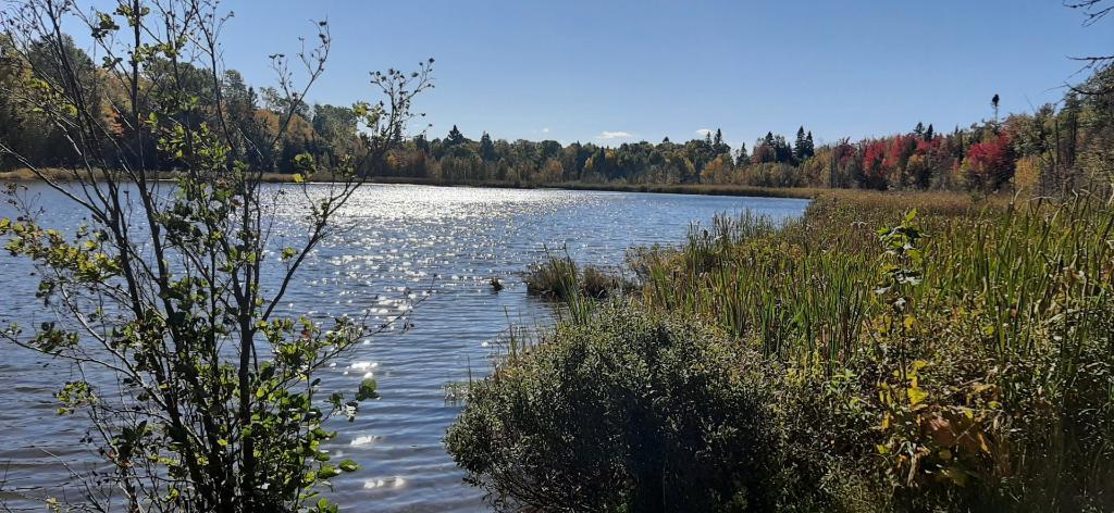 Lot a bois avec lac et fort potentiel acéricole | 3234143