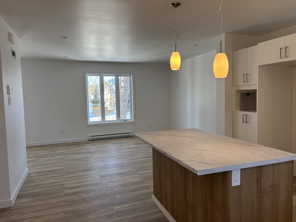 À Louer – Magnifique 4 ½ Neuf à Saint-Do | 3225626