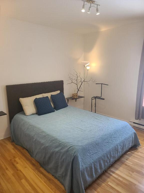 Magnifique 3 ½ a louer | 3234612