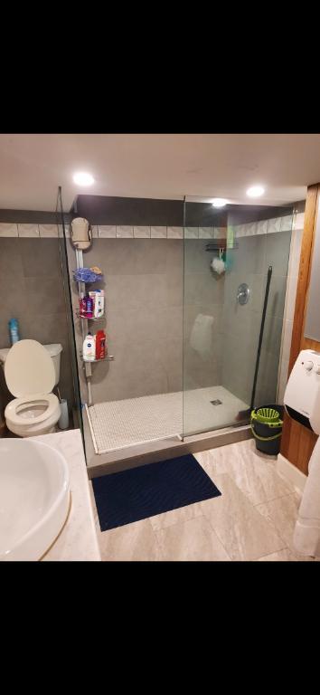 1 1/2 à louer au sous-sol avec entrée indépendante. 740 $/mois. Chauffé, éclairé, Wi-Fi et parking déneigé inclus. Non fumeur. Disponible en Avril. | 3234620