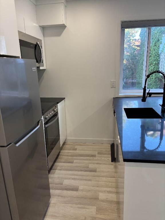 Appartement 1 chambre – 5695 Rue Saint-Jacques – Disponible maintenant | 3234652