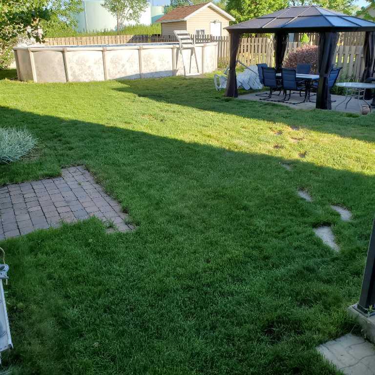 3 ½ avec grande cour privé | 3234704