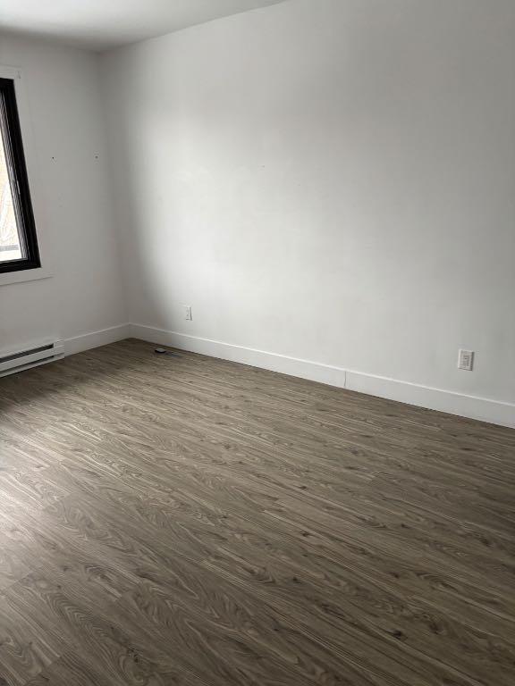 Appartement 1 chambre à louer | 3234708