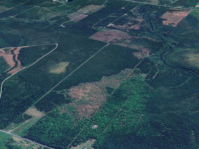 Terrain | 3278275