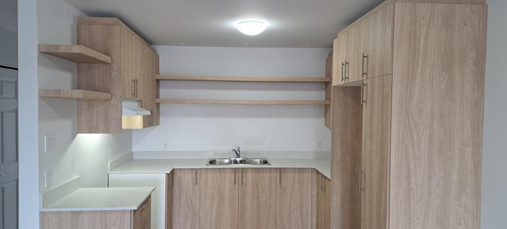 Grand 3 ½ Entierement Rénovés Montreal (Rivière des Prairies) | 3235569