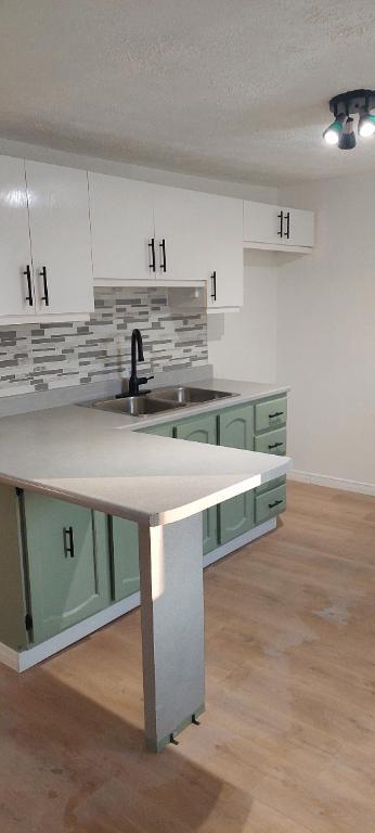 4 et demi (divisé presque comme un petit 5 et demi) droit aux chats, Farnham | 3235596