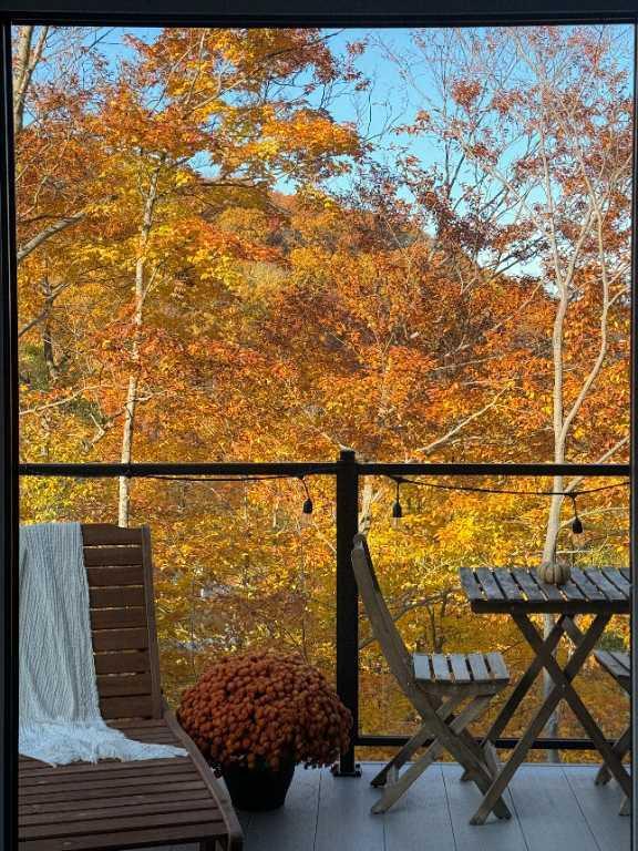 Magnifique 4 et demi en Montagne | 3235621