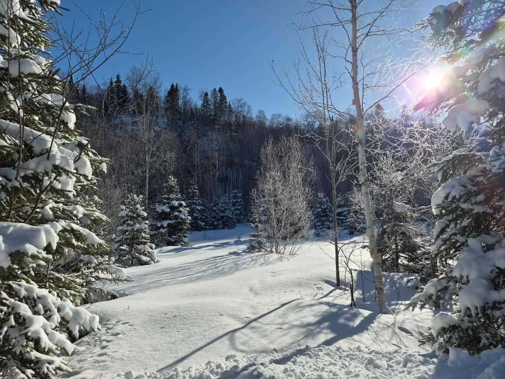 Terrain à vendre à Saint-donat de Montcalm | 3235851