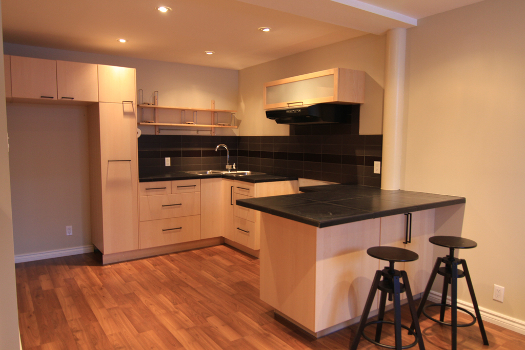 Petit 4 1/2 Dans Rosemont | 3235969