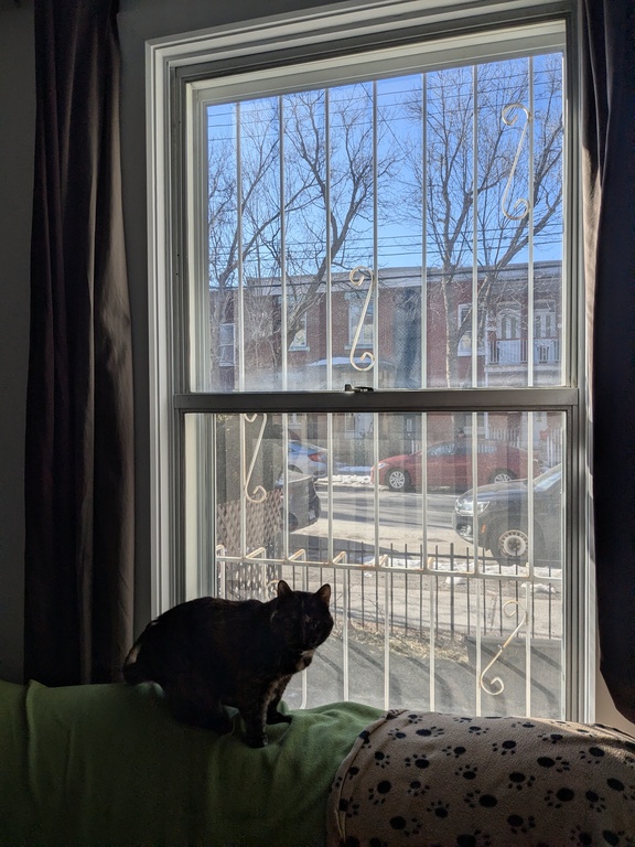 Reprise De Bail Juin 2026 | 3236014