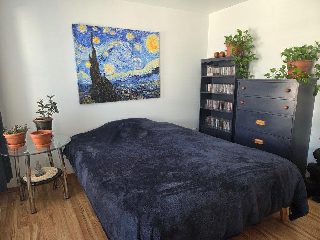 Grand 4 1/2 disponible avant e 10 avril et GRATUIT POUR LE RESTE DU MOIS . | 3239461