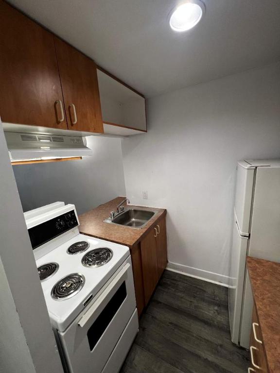 GHETTO MCGILL- STUDIO RENOVÉ & MEUBLÉ- EMPLACEMENT EXCEPTIONNEL | 3236031