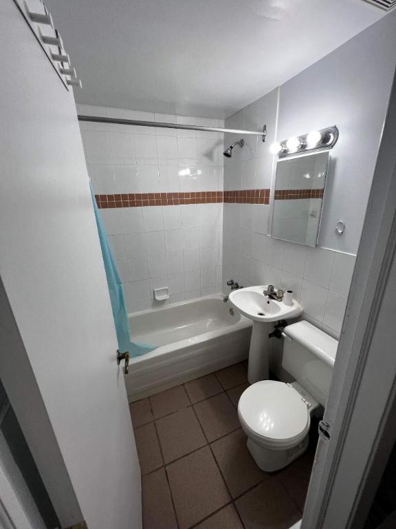 GHETTO MCGILL- STUDIO RENOVÉ & MEUBLÉ- EMPLACEMENT EXCEPTIONNEL | 3236031