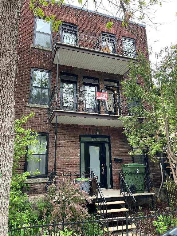 HOMA Grand 3 1/2 renovée | 3236040