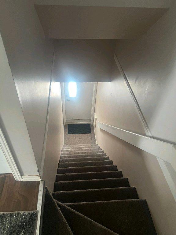 grand 4 1/4 | 3236043