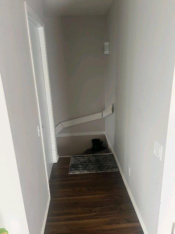 grand 4 1/4 | 3236043