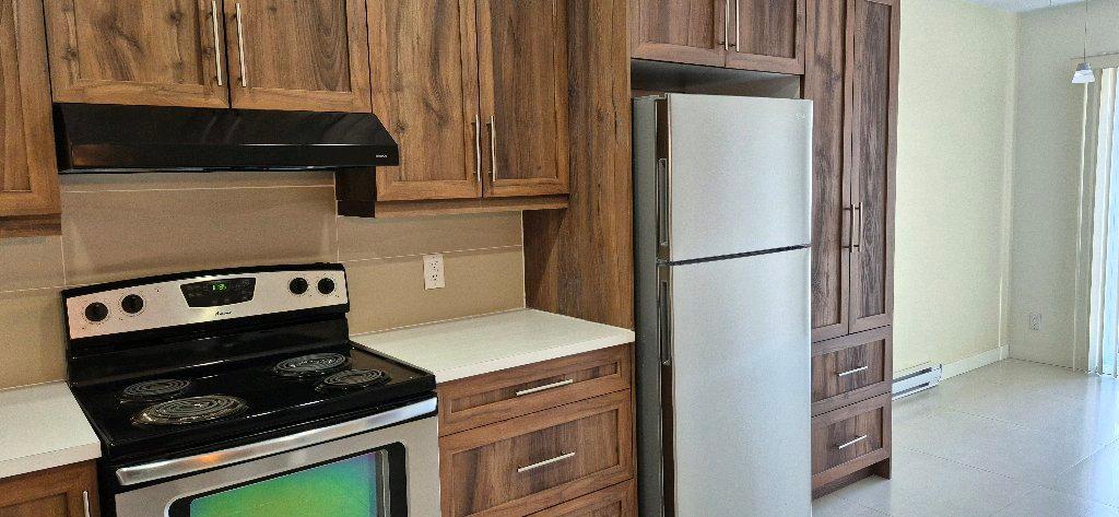 5 1/2 papineau et louvain | 3236109