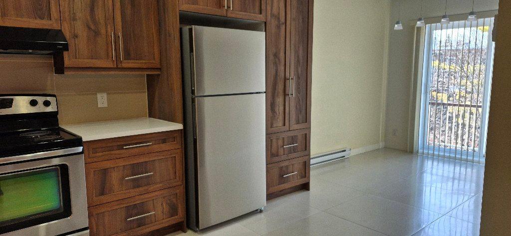 5 1/2 papineau et louvain | 3236109