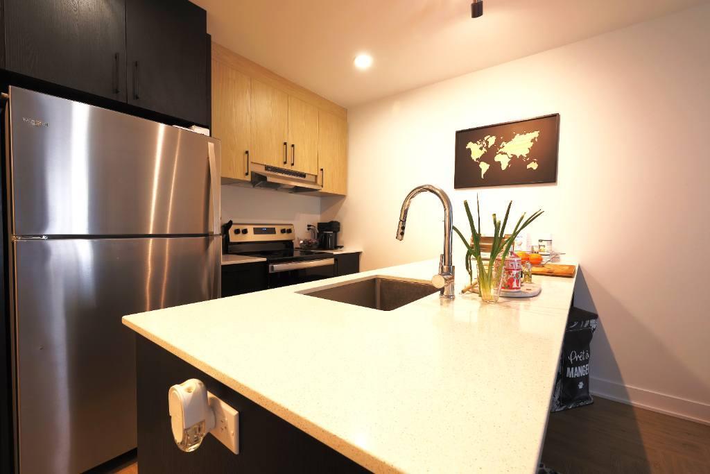 3 1/2 Longueuil animaux autorisés! | 3236111