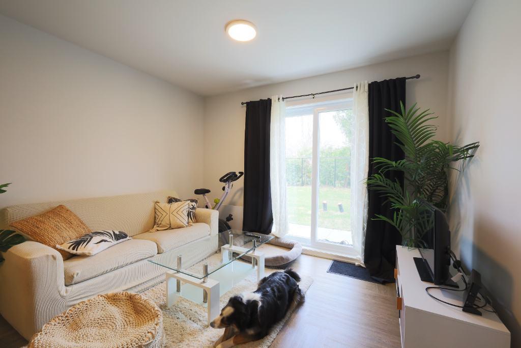 3 1/2 Longueuil animaux autorisés! | 3236111