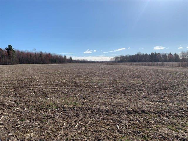 Roxton Falls (Montérégie) : Terre à bois et agricole de 141,63 acres | 3236566