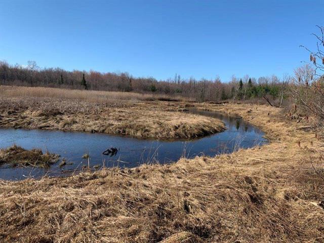 Roxton Falls (Montérégie) : Terre à bois et agricole de 141,63 acres | 3236566