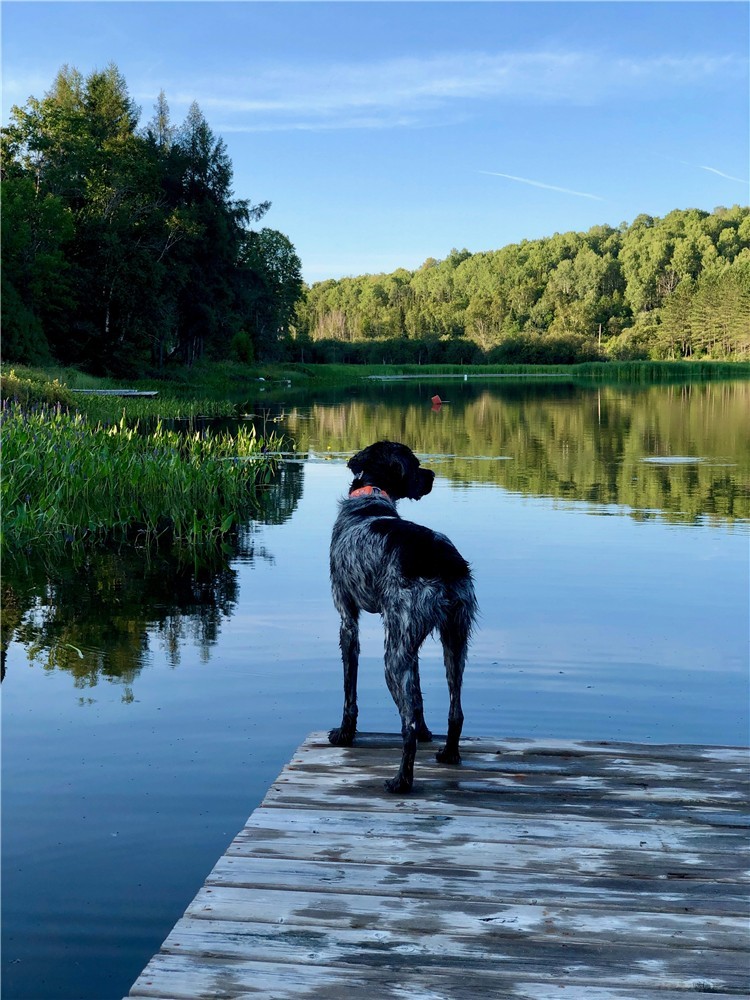 Peaceful lakeside retreat with breathtaking mountains views | 3236348