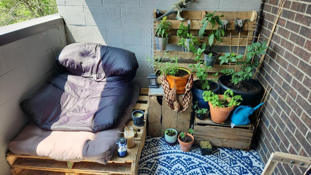 Studio à louer à Sherbrooke - Cession de bail - août 2026 | 3236372