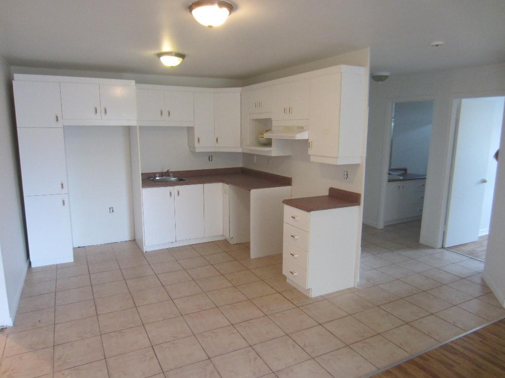 BEAU 4 1/2 LIBRE AU 1ER JUILLET DELSON RIVE SUD | 3236390