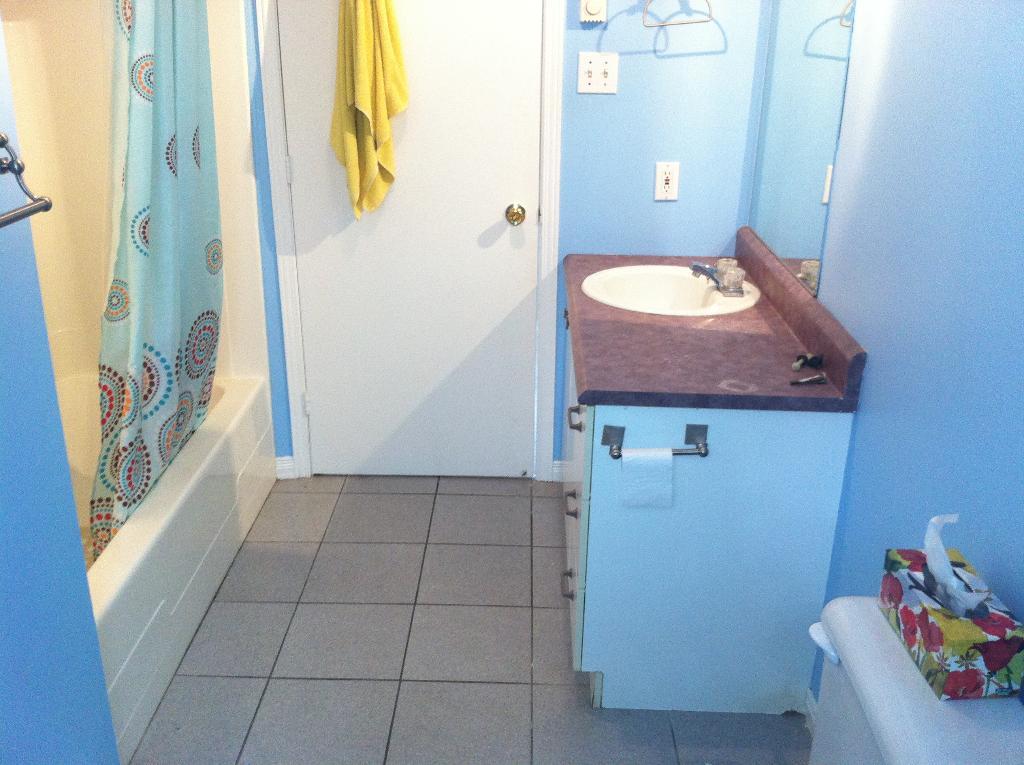 BEAU 4 1/2 LIBRE AU 1ER JUILLET DELSON RIVE SUD | 3236390