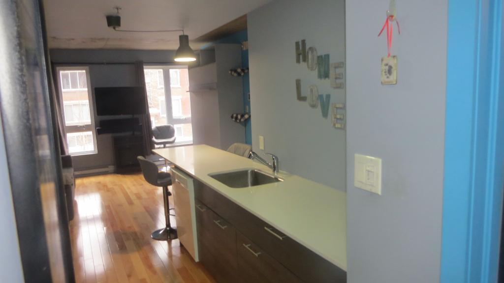 Studio Condo au cœur d’Hochelaga Maisonneuve | 3236437