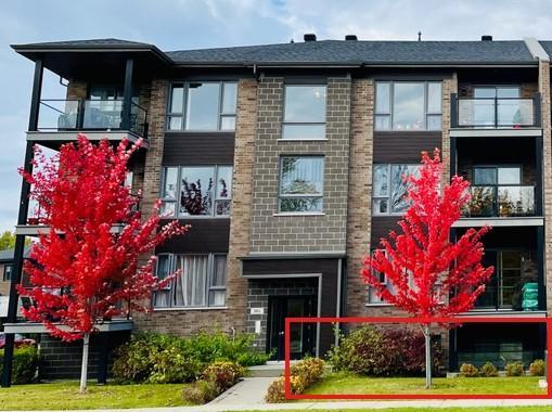 LUXUEUX CONDO 4 ½ à louer – 1800$ - 1er JUILLET 2026 - Sous-sol | 3236482