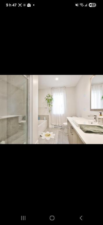 Appartement 5 1/2 À louer | 3236487