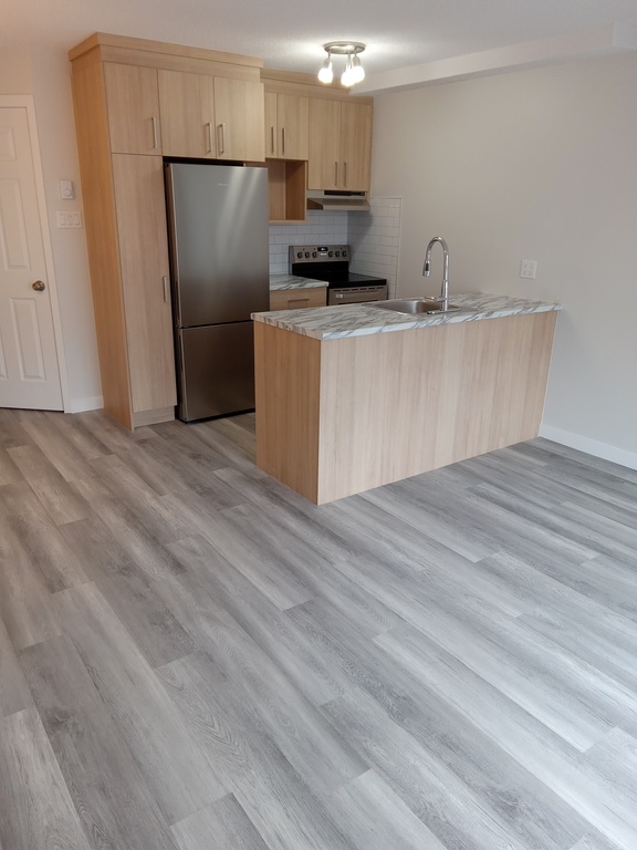 Charmant 3 1/2 (1 Chambre) Rénové | 3237109