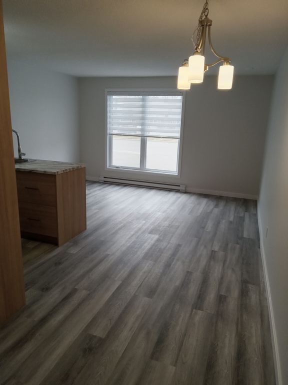 Charmant 3 1/2 (1 Chambre) Rénové | 3237109