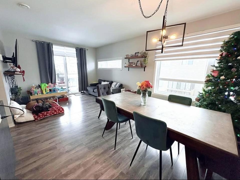 Accepte Les Chiens / Logement Moderne | 3237330