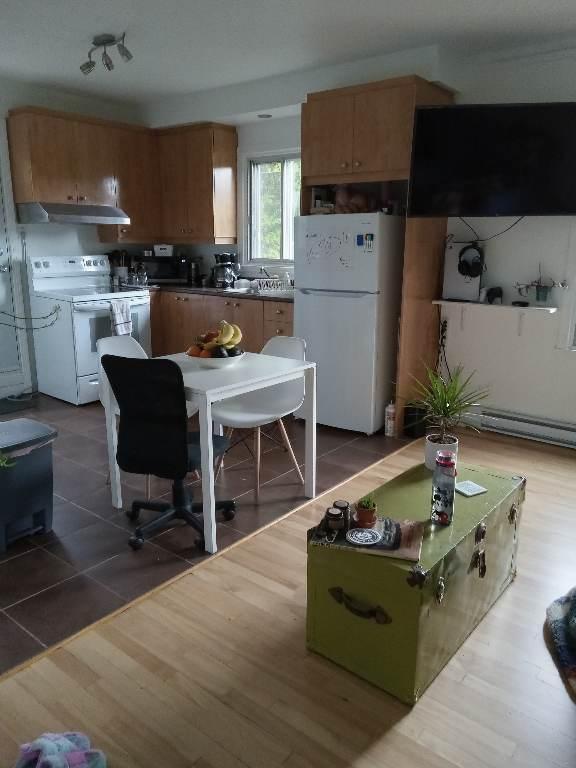 3 1/2 Près du Parc Maisonneuve et HMR | 3237388