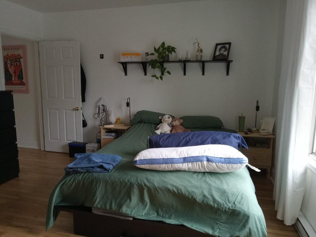 3 1/2 Près du Parc Maisonneuve et HMR | 3237388