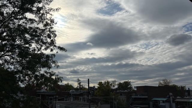 3 1/2 - Montréal - 1 750 $/mois | 3237543