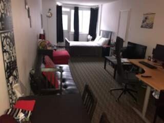 GHETTO MCGILL- 3 ½ RÉNOVÉ & MEUBLÉ – 1 CHAMBRE FERMÉE | 3238343